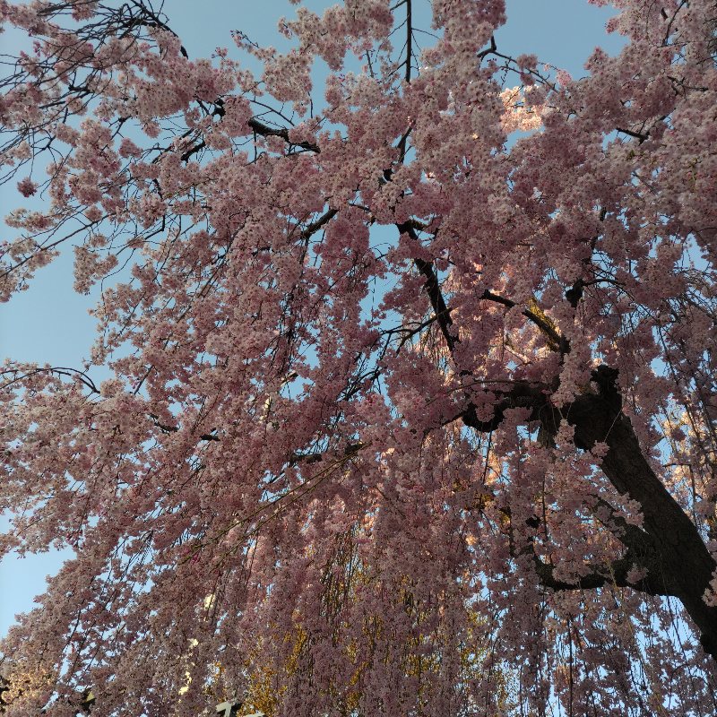 202504031901296-admin.jpg