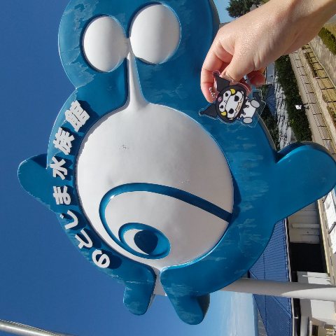 202508062100141-admin.jpg